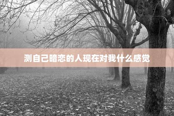 测自己暗恋的人现在对我什么感觉