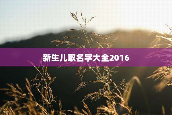 新生儿取名字大全2016