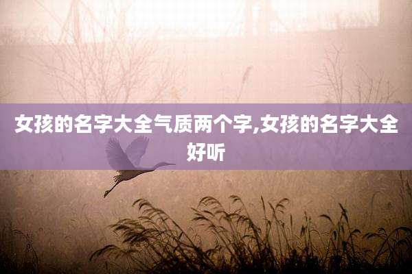 女孩的名字大全气质两个字,女孩的名字大全好听