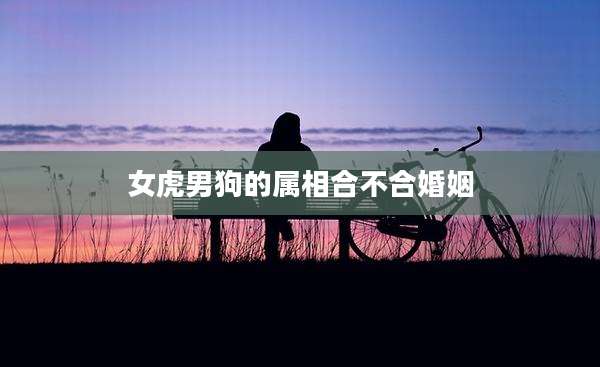 女虎男狗的属相合不合婚姻