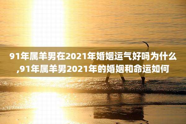 91年属羊男在2021年婚姻运气好吗为什么,91年属羊男2021年的婚姻和命运如何