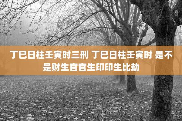 丁巳日柱壬寅时三刑 丁巳日柱壬寅时 是不是财生官官生印印生比劫