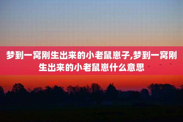 梦到一窝刚生出来的小老鼠崽子,梦到一窝刚生出来的小老鼠崽什么意思