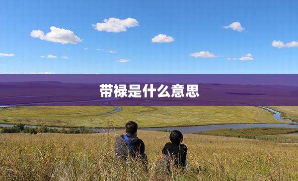 带禄是什么意思