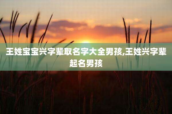 王姓宝宝兴字辈取名字大全男孩,王姓兴字辈起名男孩