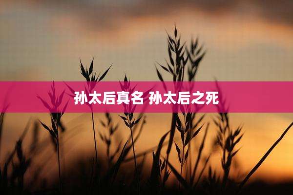孙太后真名 孙太后之死