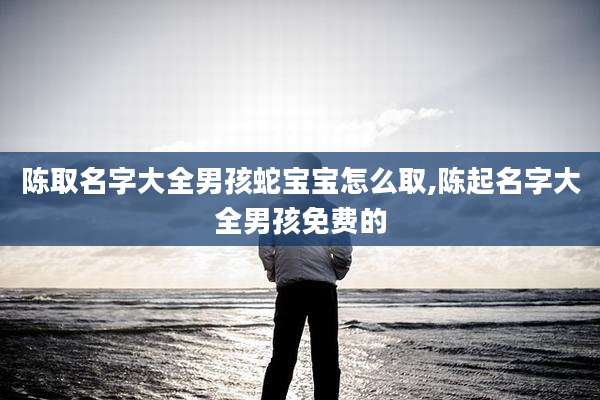陈取名字大全男孩蛇宝宝怎么取,陈起名字大全男孩免费的