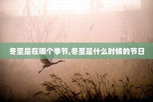 冬至是在哪个季节,冬至是什么时候的节日