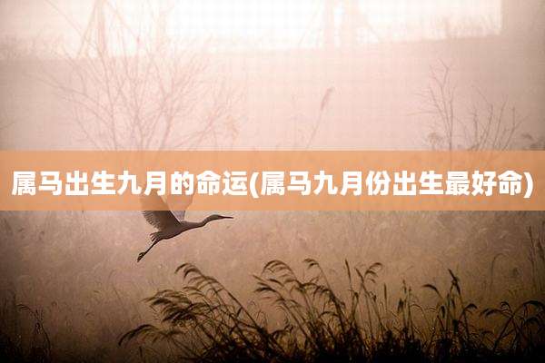属马出生九月的命运(属马九月份出生最好命)