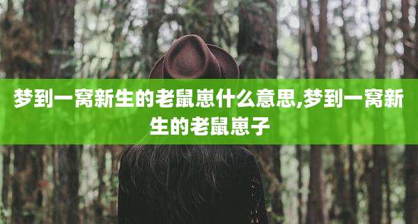 梦到一窝新生的老鼠崽什么意思,梦到一窝新生的老鼠崽子