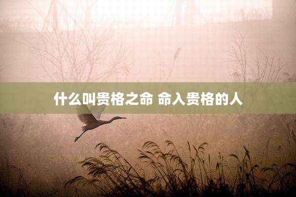 什么叫贵格之命 命入贵格的人
