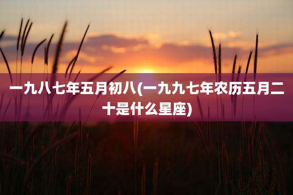 一九八七年五月初八(一九九七年农历五月二十是什么星座)