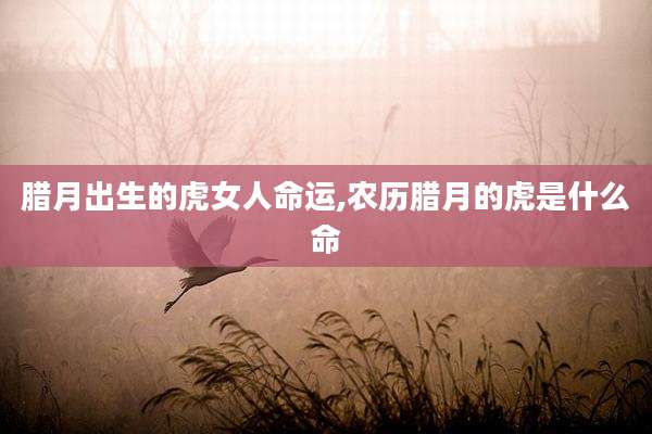 腊月出生的虎女人命运,农历腊月的虎是什么命