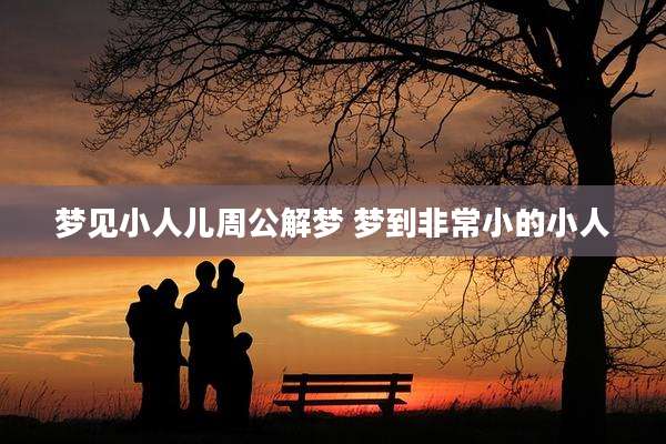梦见小人儿周公解梦 梦到非常小的小人