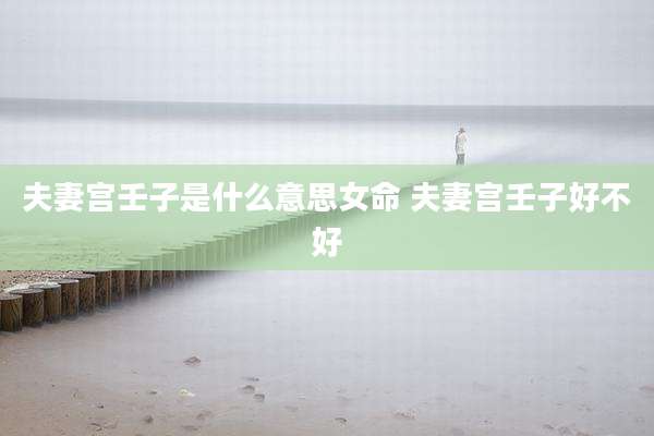 夫妻宫壬子是什么意思女命 夫妻宫壬子好不好