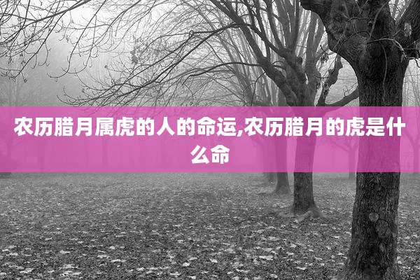 农历腊月属虎的人的命运,农历腊月的虎是什么命