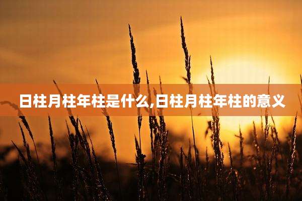 日柱月柱年柱是什么,日柱月柱年柱的意义