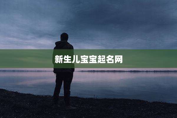 新生儿宝宝起名网