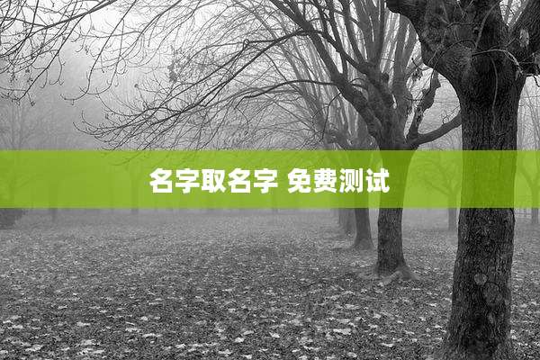名字取名字 免费测试