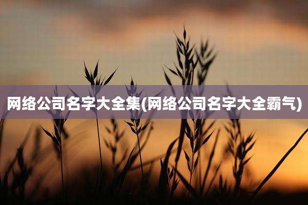 网络公司名字大全集(网络公司名字大全霸气)