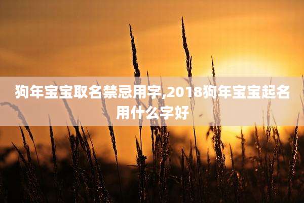 狗年宝宝取名禁忌用字,2018狗年宝宝起名用什么字好