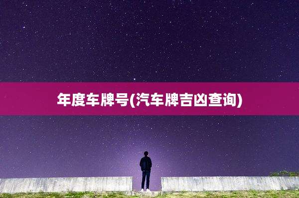 年度车牌号(汽车牌吉凶查询)
