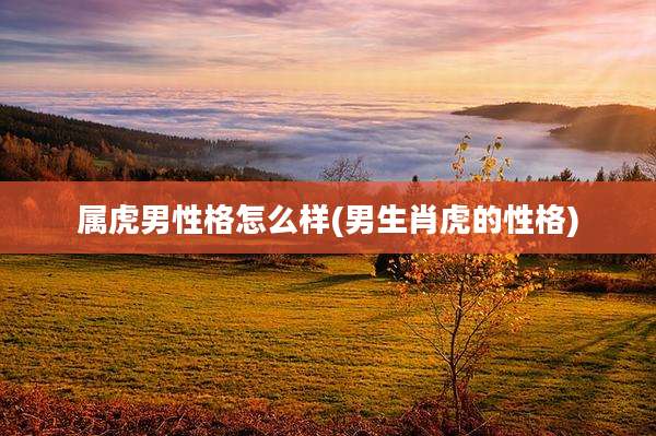 属虎男性格怎么样(男生肖虎的性格)