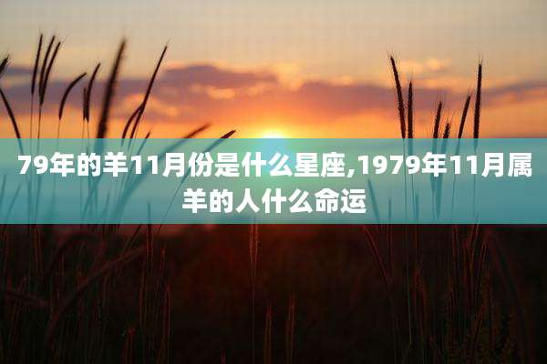 79年的羊11月份是什么星座,1979年11月属羊的人什么命运