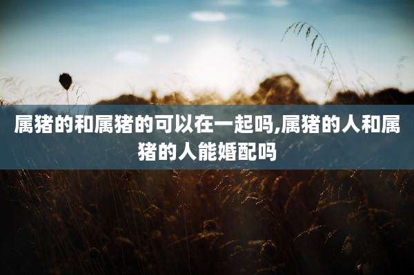 属猪的和属猪的可以在一起吗,属猪的人和属猪的人能婚配吗