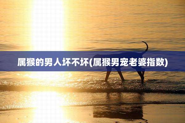 属猴的男人坏不坏(属猴男宠老婆指数)