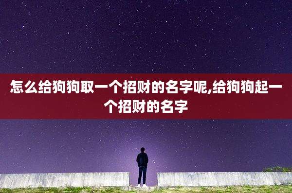 怎么给狗狗取一个招财的名字呢,给狗狗起一个招财的名字