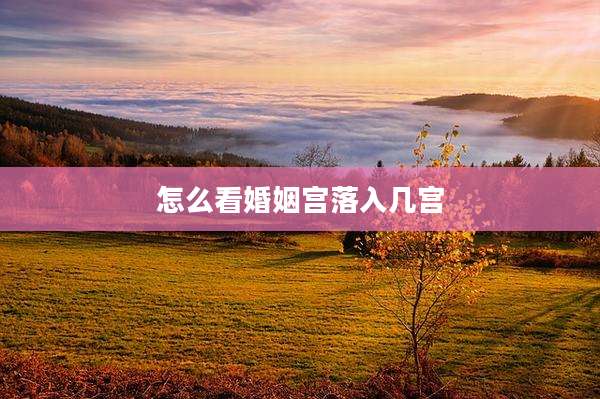 怎么看婚姻宫落入几宫