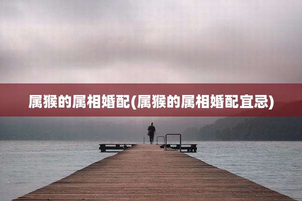 属猴的属相婚配(属猴的属相婚配宜忌)