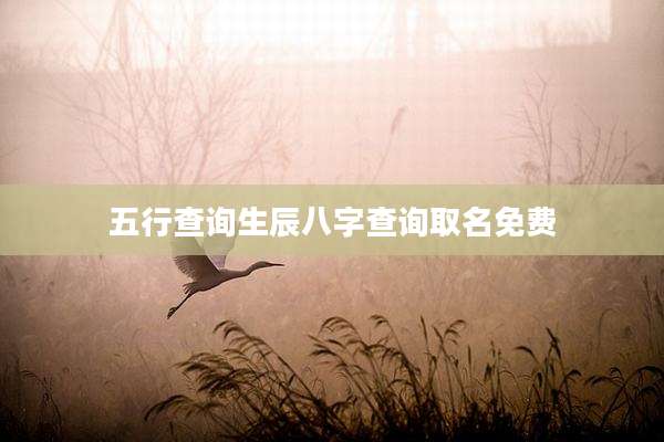 五行查询生辰八字查询取名免费