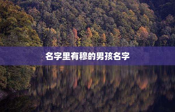 名字里有穆的男孩名字