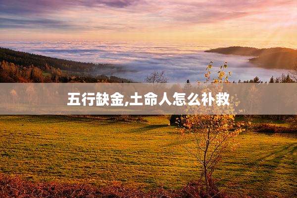 五行缺金,土命人怎么补救