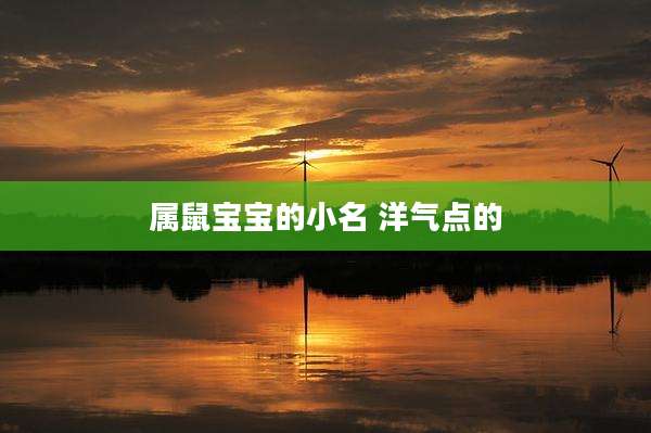 属鼠宝宝的小名 洋气点的