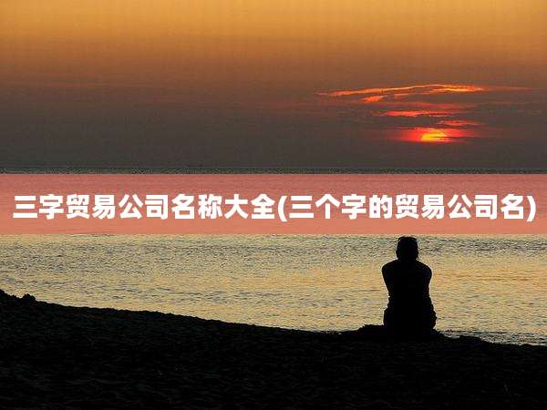 三字贸易公司名称大全(三个字的贸易公司名)