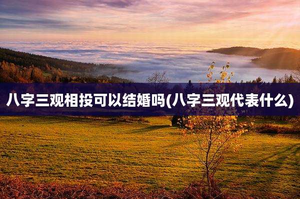 八字三观相投可以结婚吗(八字三观代表什么)