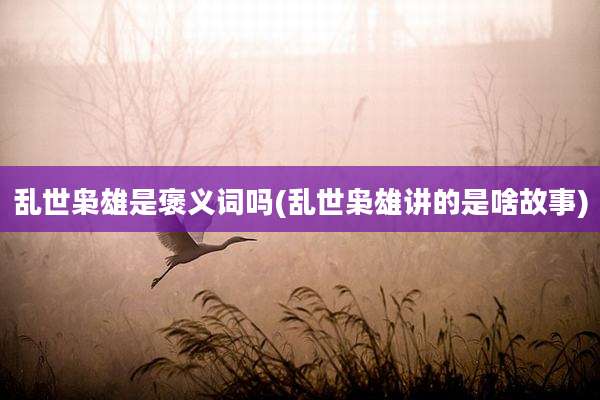 乱世枭雄是褒义词吗(乱世枭雄讲的是啥故事)