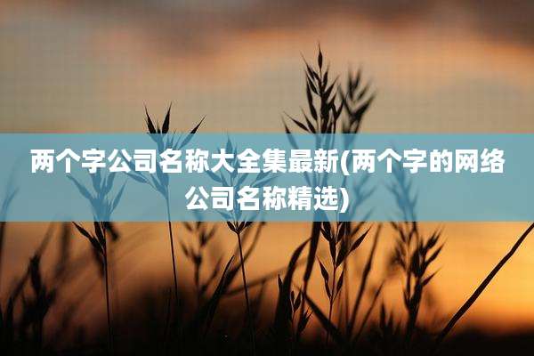 两个字公司名称大全集最新(两个字的网络公司名称精选)