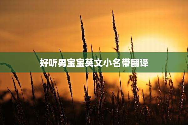 好听男宝宝英文小名带翻译