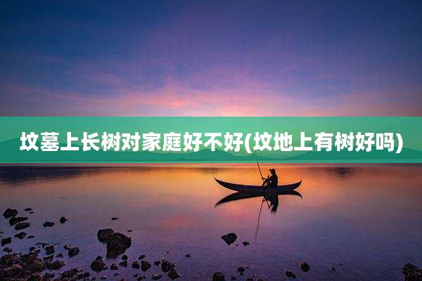 坟墓上长树对家庭好不好(坟地上有树好吗)