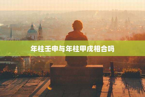 年柱壬申与年柱甲戌相合吗