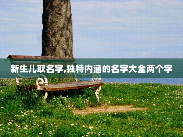 新生儿取名字,独特内涵的名字大全两个字