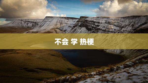 不会 学 热梗