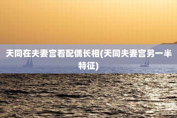 天同在夫妻宫看配偶长相(天同夫妻宫另一半特征)