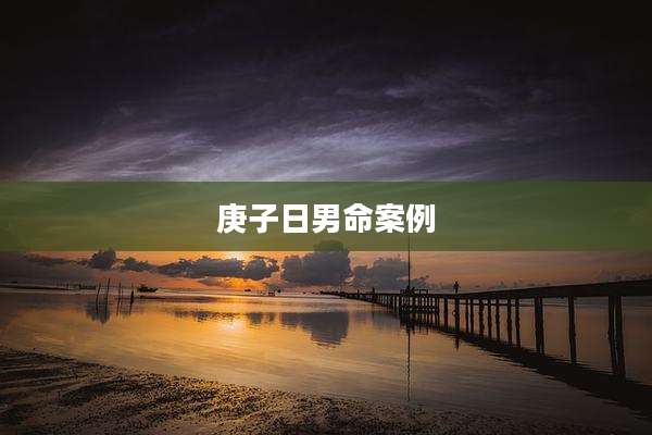 庚子日男命案例