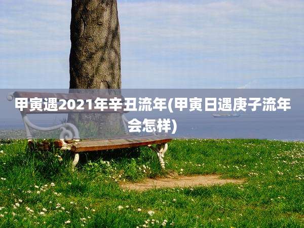 甲寅遇2021年辛丑流年(甲寅日遇庚子流年会怎样)