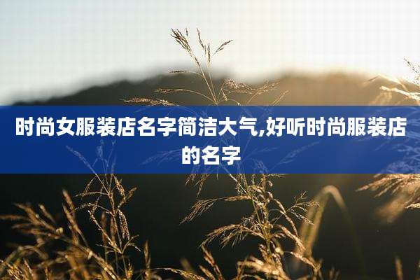 时尚女服装店名字简洁大气,好听时尚服装店的名字